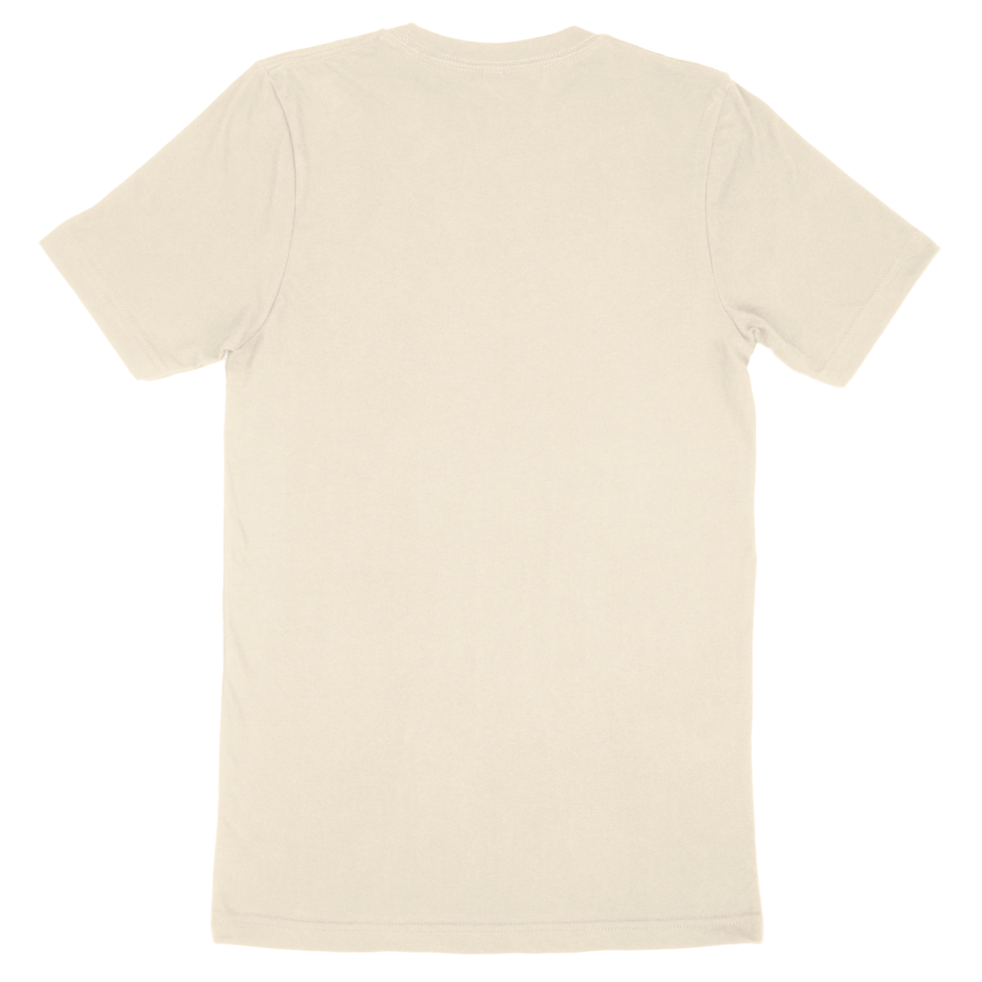 Bella + Canvas Adult T-Shirt