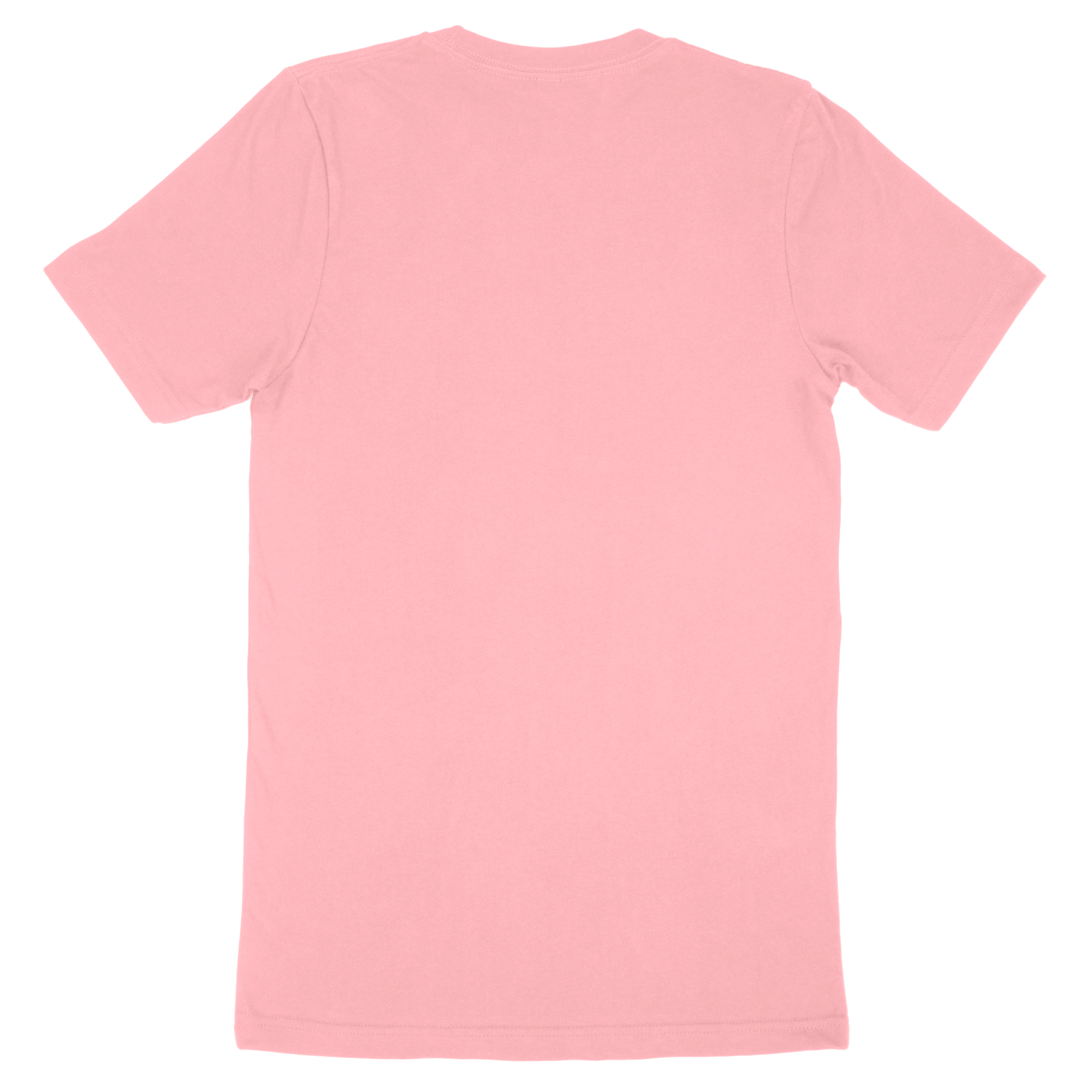 Bella + Canvas Adult T-Shirt