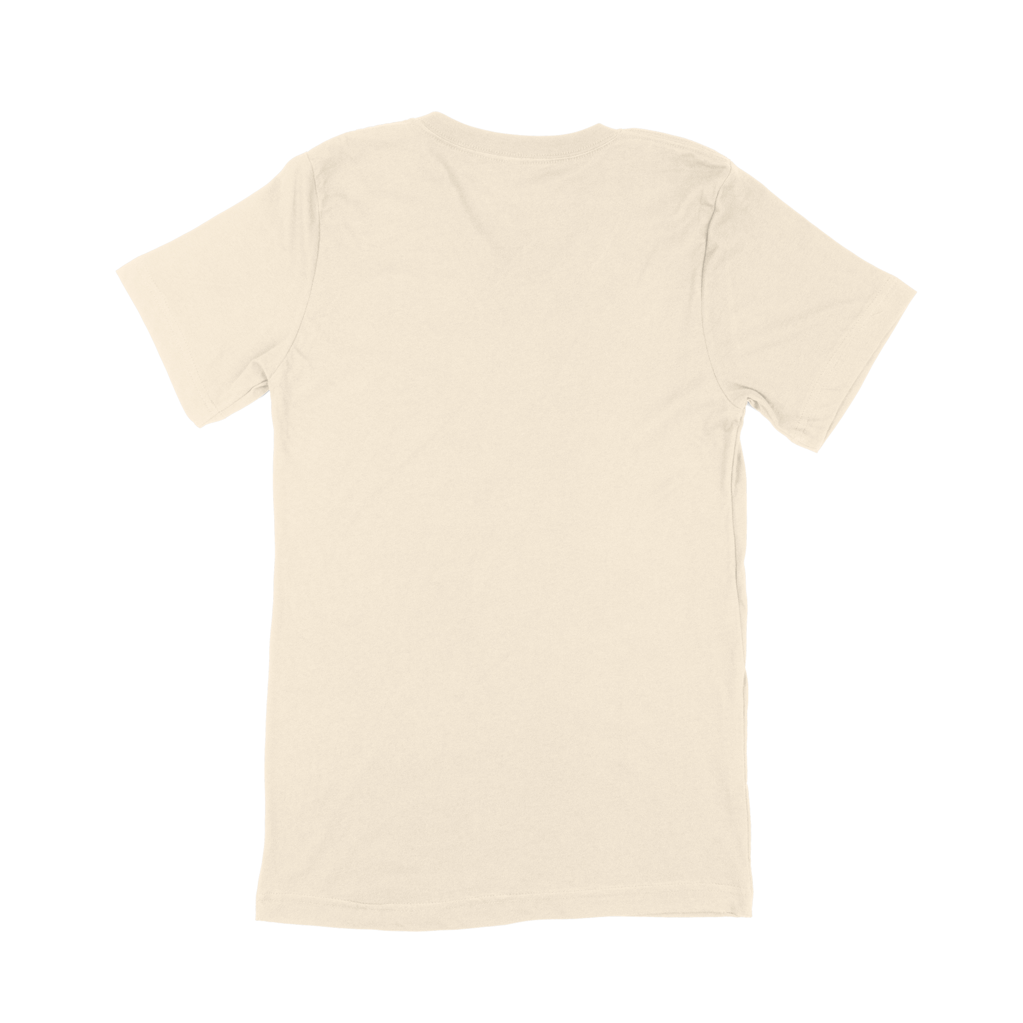 Bella + Canvas Adult V-Neck T-Shirt