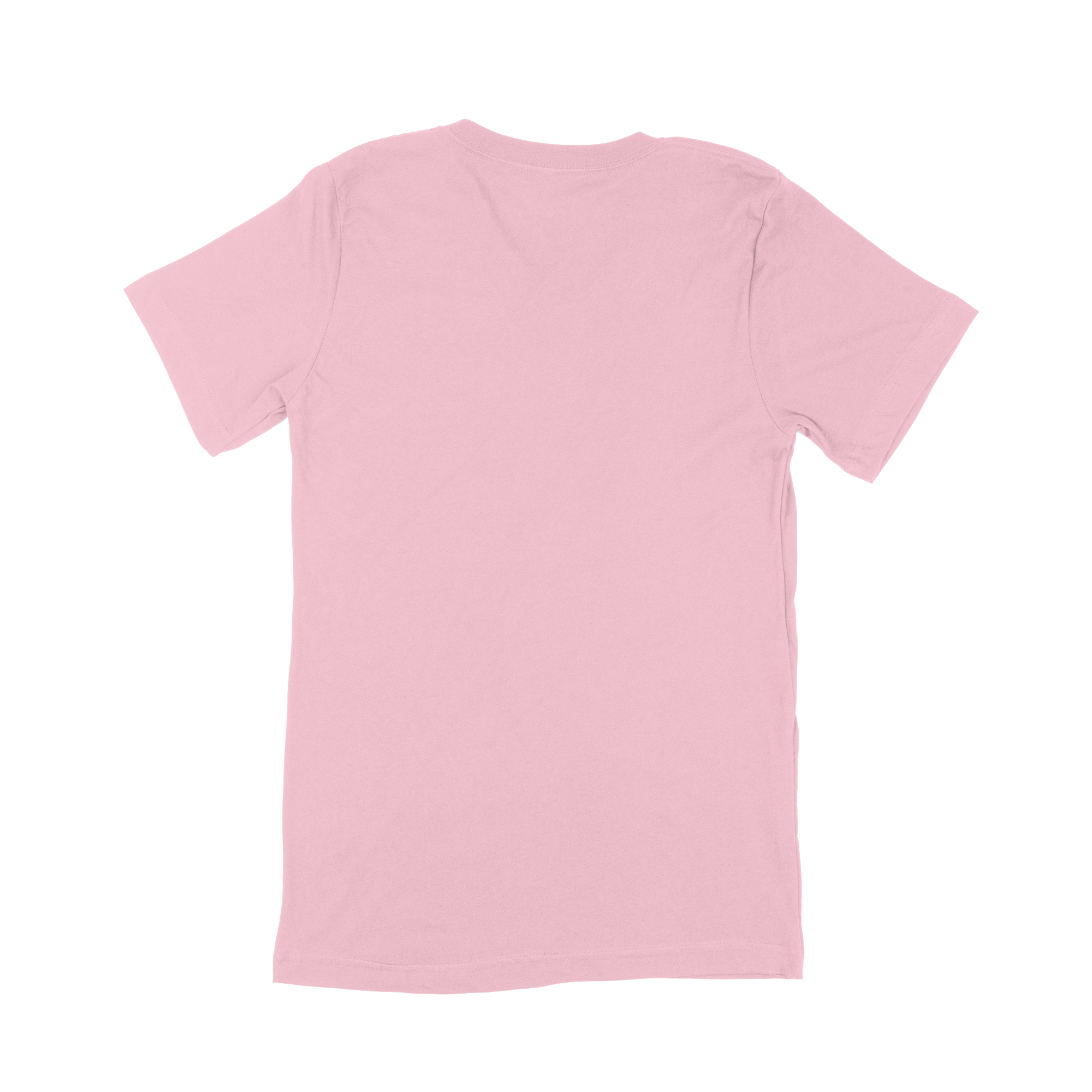 Bella + Canvas Adult V-Neck T-Shirt