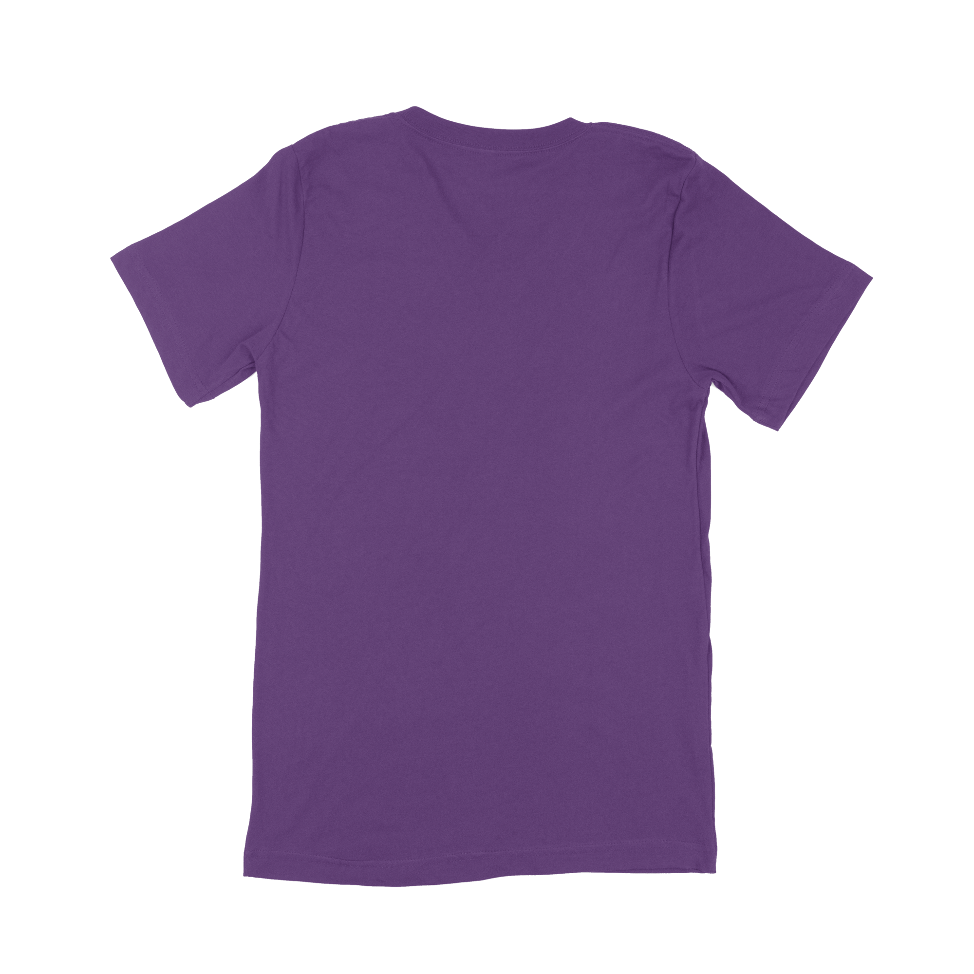 Bella + Canvas Adult V-Neck T-Shirt