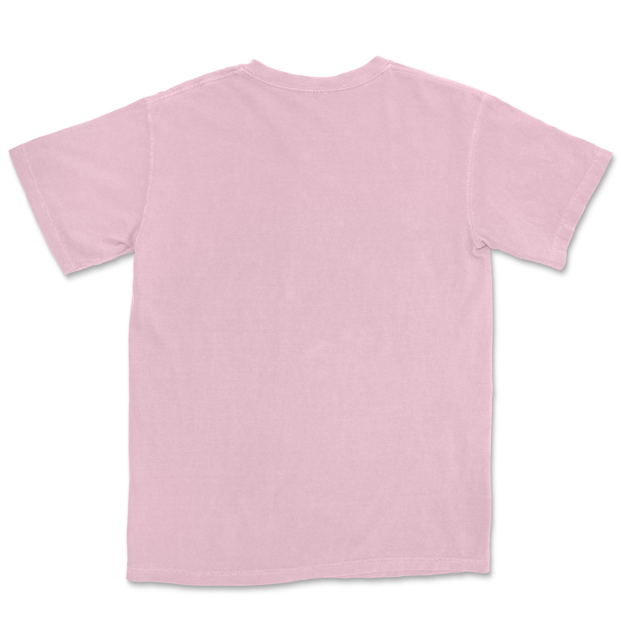 Comfort Colors Adult T-Shirt