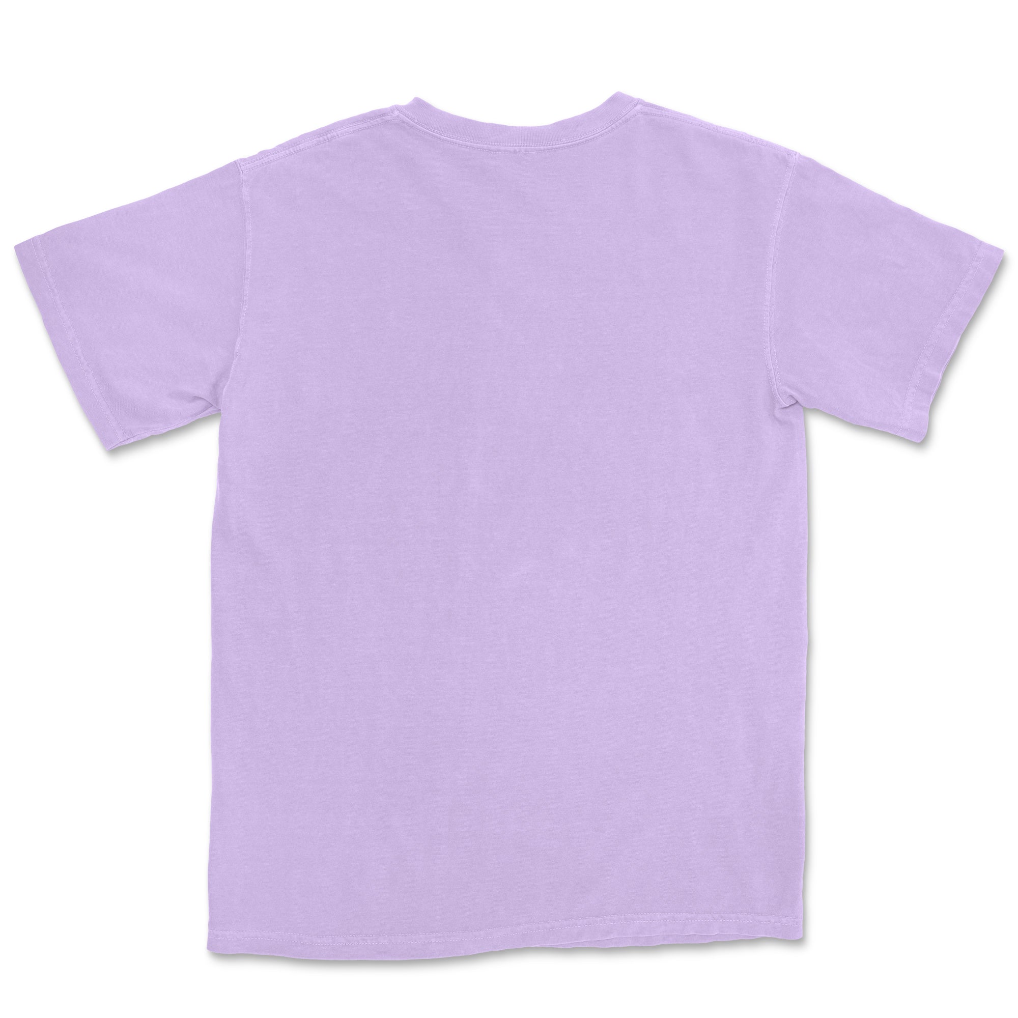 Comfort Colors Adult T-Shirt