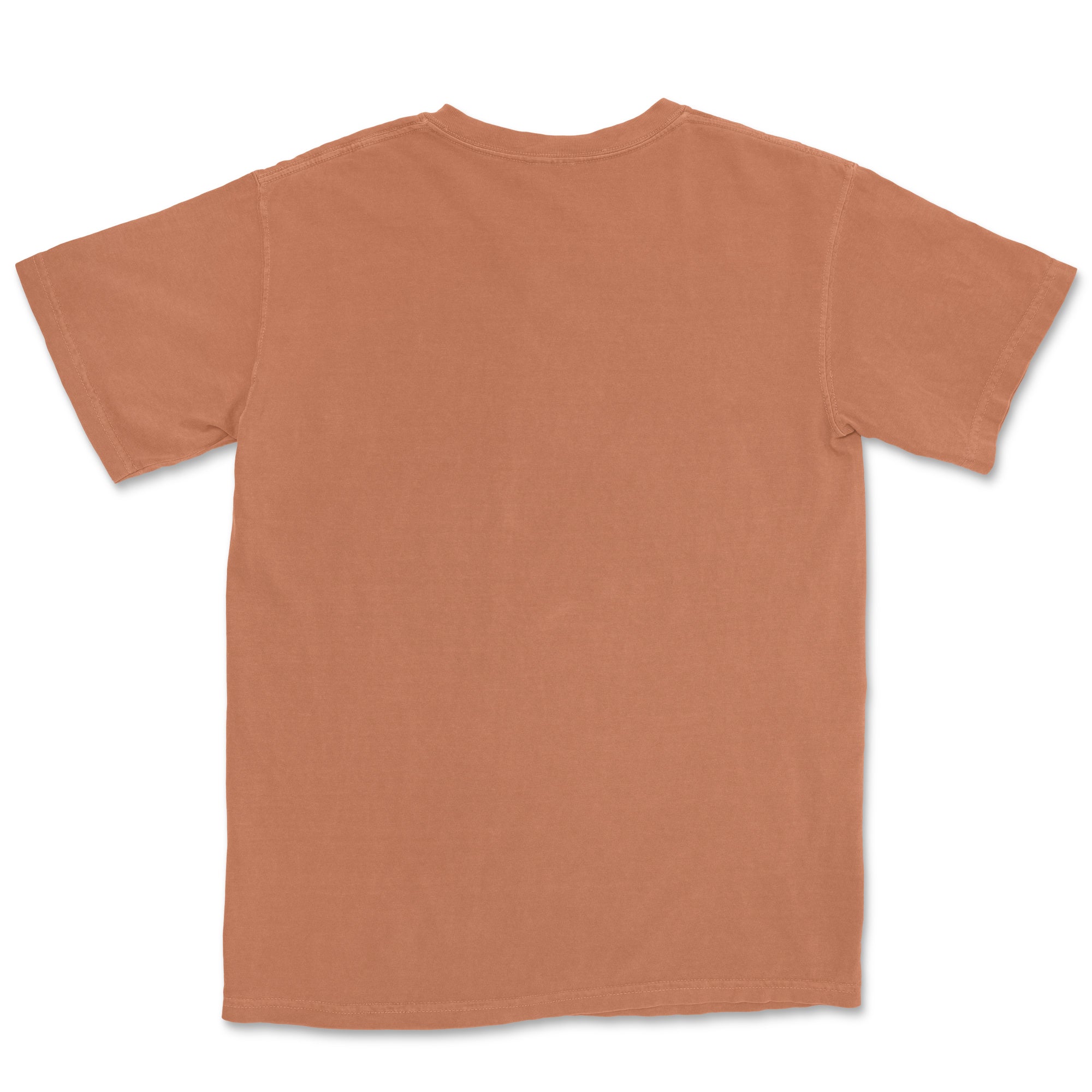 Comfort Colors Adult T-Shirt