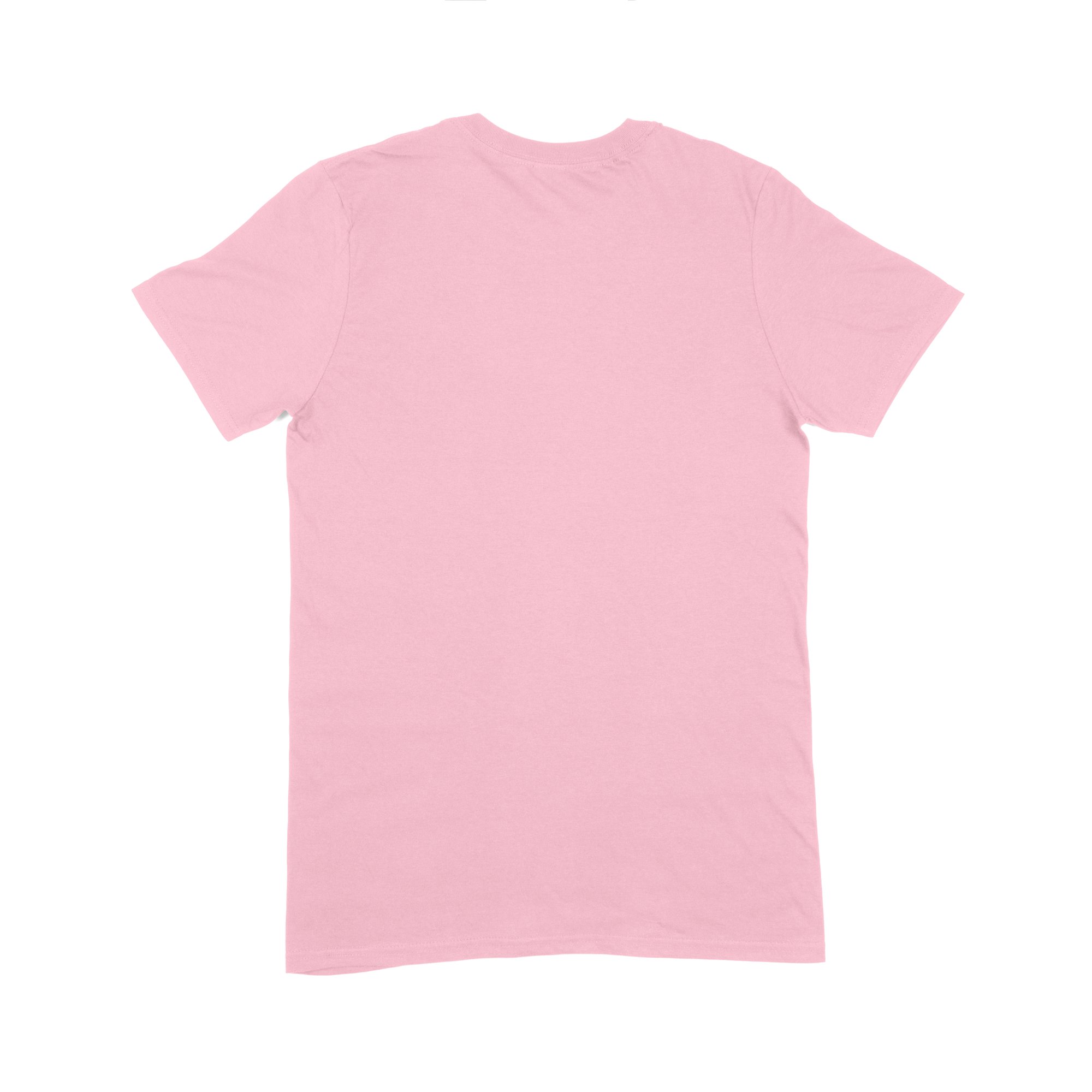 Gildan Softstyle Adult T-Shirt