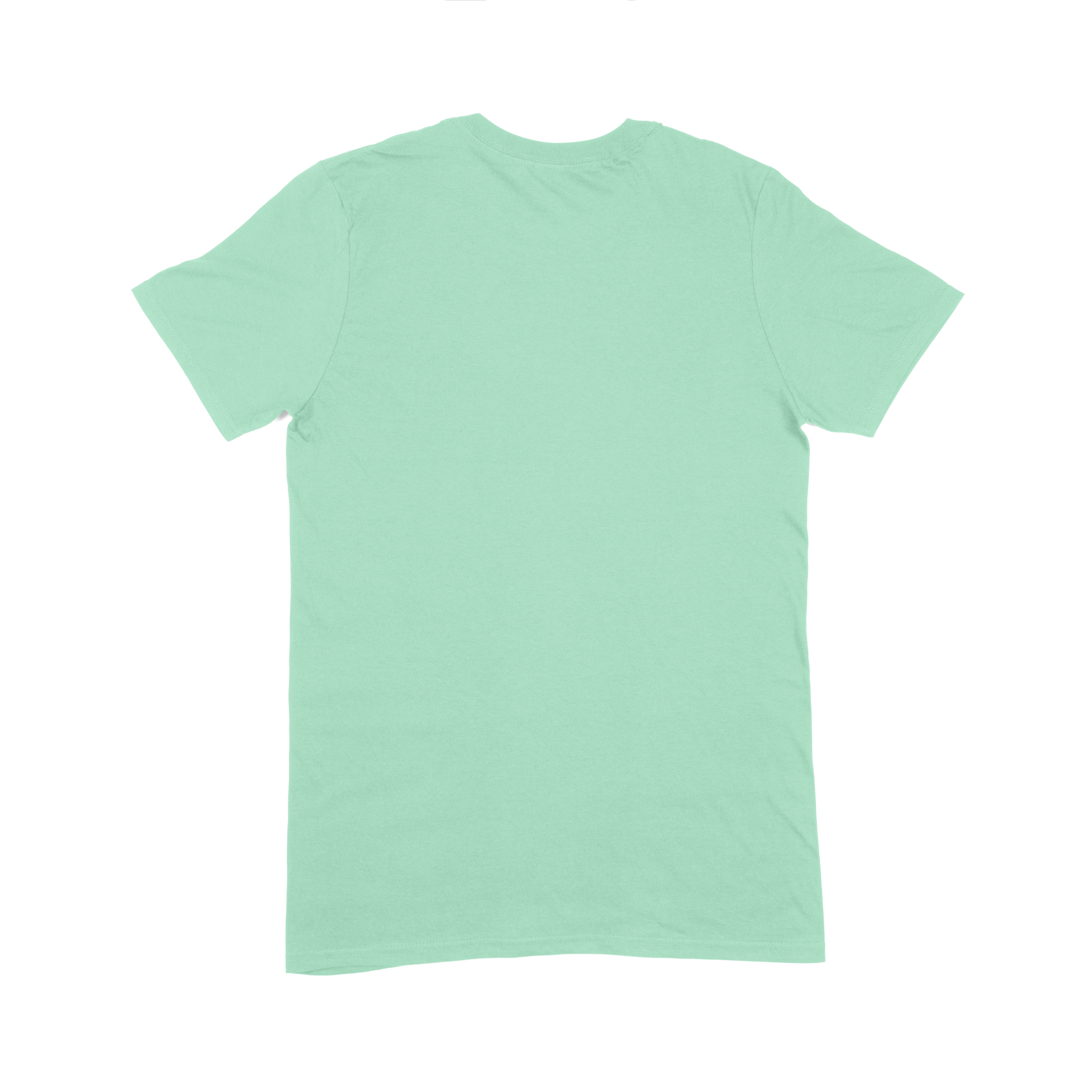 Gildan Softstyle Adult T-Shirt
